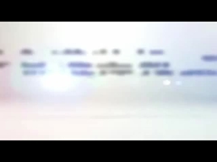 Automatic Case Packer Machine